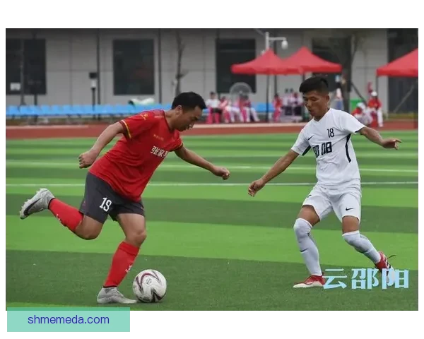 足协暂停张家界涉事人员足球